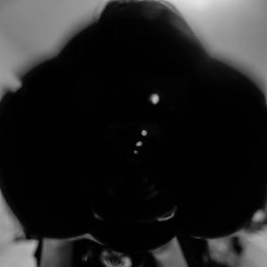 Meet your Posher, Shayne